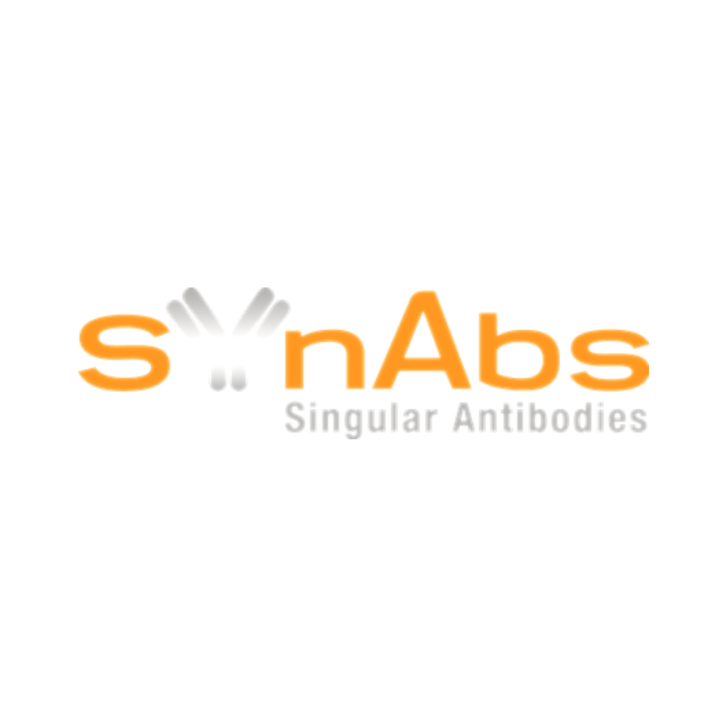 SYnAbs - Innovative Antibodies